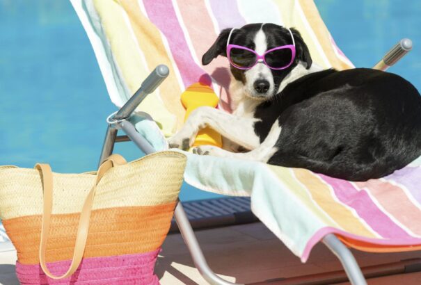 Igazi strandidő lesz vasárnap