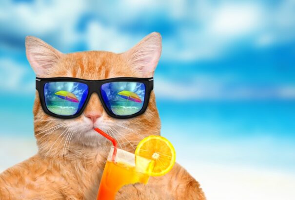 33 fokkal érkeznek a viharok Cirill és Metód napján