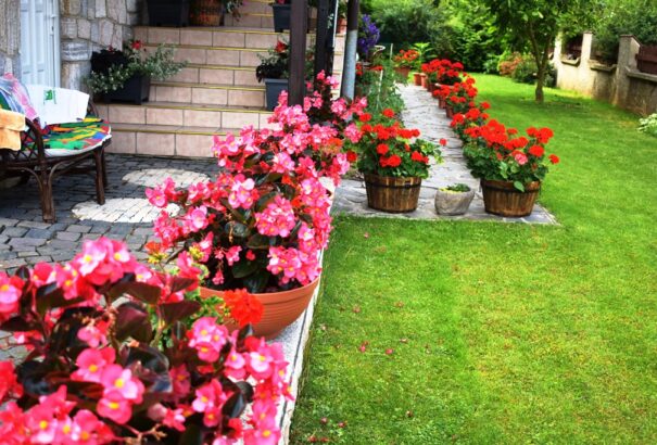 Takaros udvarok és szép kiskertek – Képriport