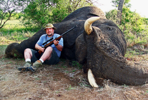 Tíz állatfaj, amely biztosan nekünk „köszönheti” pusztulását – I. rész