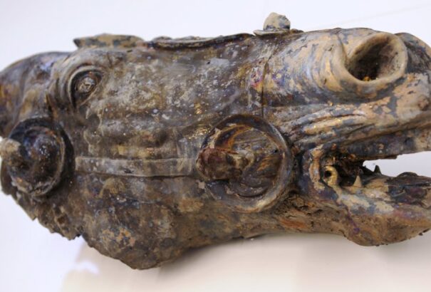 Többszázezer euró jutalmat kap a gazda, aki egy értékes történelmi leletet talált a földjén