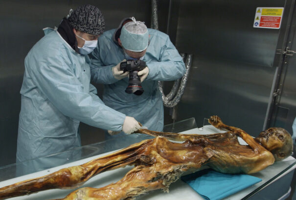 Ötzi utolsó vacsorája – újabb érdekes megfigyelések az alpesi múmia kapcsán