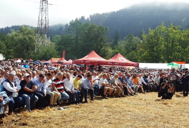 Szabó Dávid József: Mozgástér