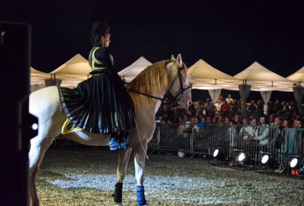 Az összefogás napja – Az István a király megaelőadás képei