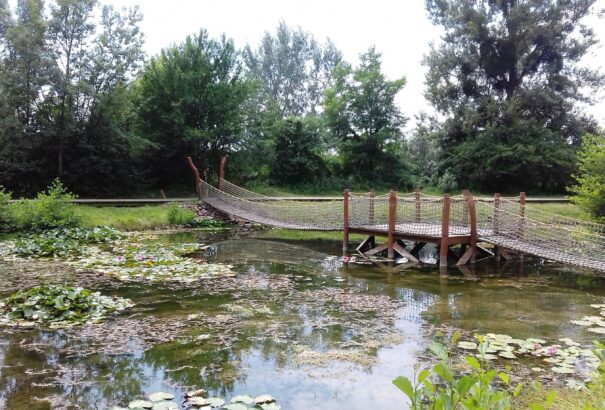 Tata – az élővizek városa