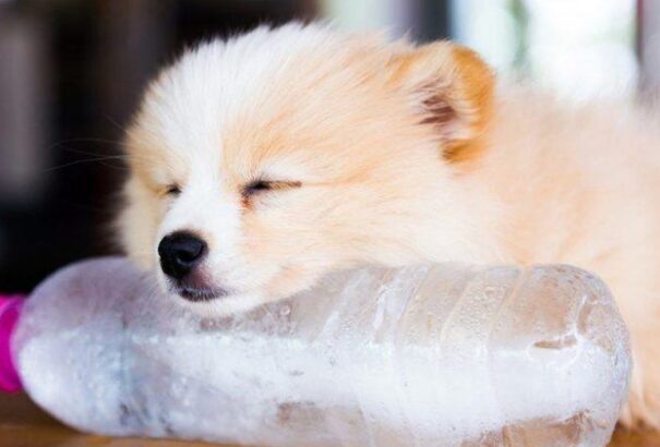 Záporok és gomolyfelhők zavarhatják meg a vasárnapi napsütést