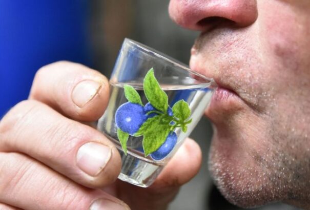 Eldőlt: Engedélyezik a házi pálinkafőzést – szigorú feltételekkel