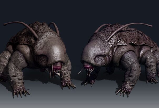 Sci-fi szökevények a kertünk végében I. – A medveállatkák