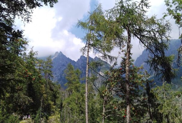 A Magas – Tátra bércei között II.