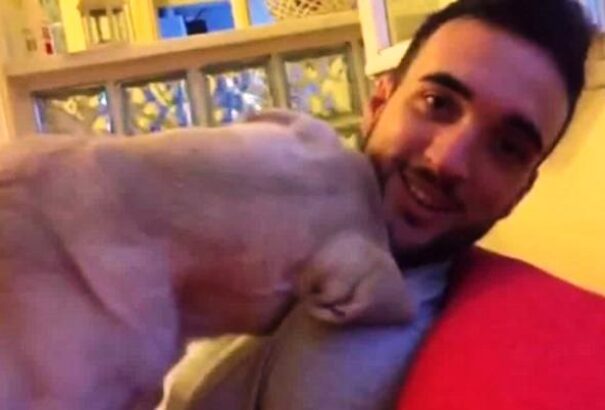 Szem nem marad szárazon, ahogyan ez a kutya bocsánatot kér a gazdájától – Videó