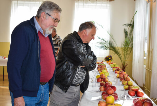 Almával és kacsával köszöntötték az őszt Mátyusföldön – Képes beszámoló