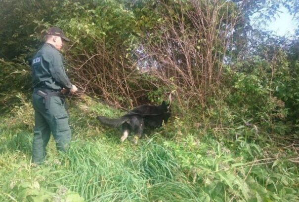 A Rozsnyói járásban találtak meg egy eltűnt magyar nőt és három éves lányát