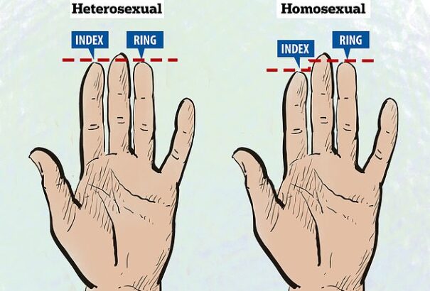 A mutató- és a gyűrűsujj hossza „összefügghet a szexualitással”