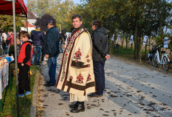 Őszi varázs a Csilizközben – Képriport