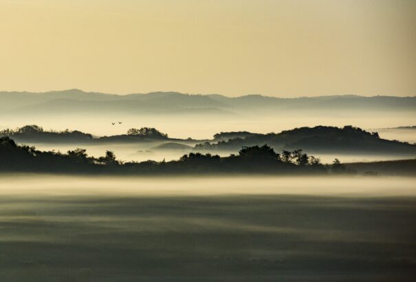 Mesevilággá változtatta a köd Óbást környékét – Fotók