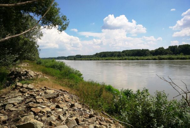 Balesetveszélyes a dunai gát mintegy 100 méteres szakasza Bősnél