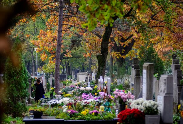 Nem fognak elfagyni a krizantémok a temetőben. Meleg időt jósolnak jövő hétre