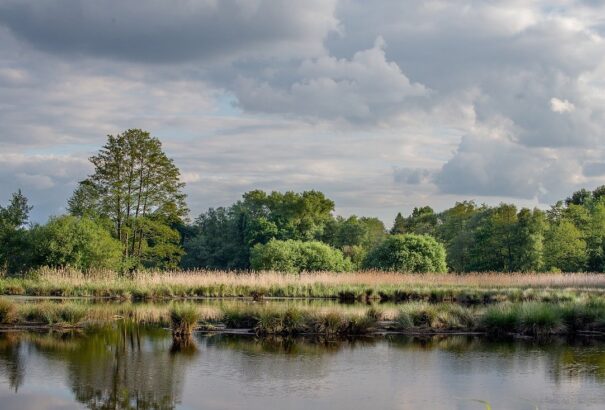 A képviselők elfogadták a Lex Csallóközt