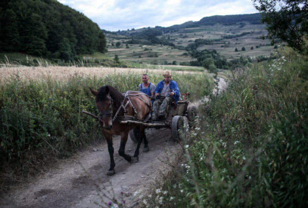 Magyar Idők – Az agrártárca szerint az idén elkezdődhet a Kárpát-medencét lefedő falugazdászprogram