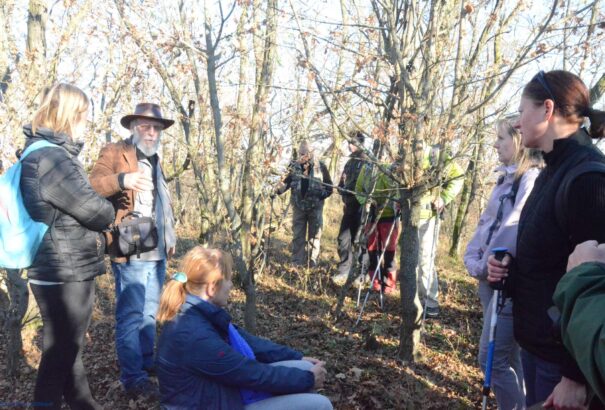 Gyalogtúrán a Nagy Hargicson – Képekkel
