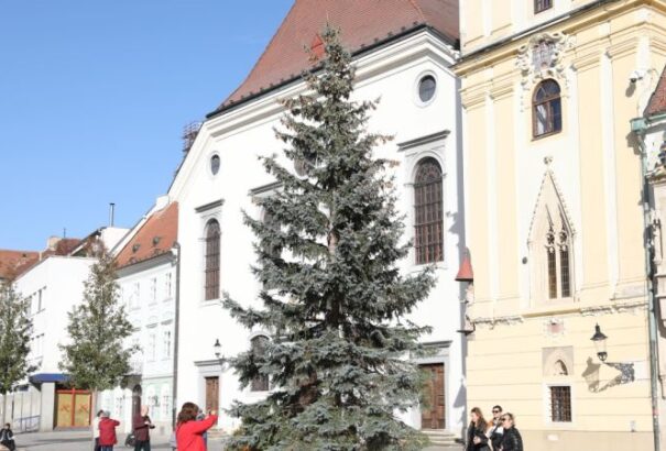 Pozsony: Felállították a főváros karácsonyfáját