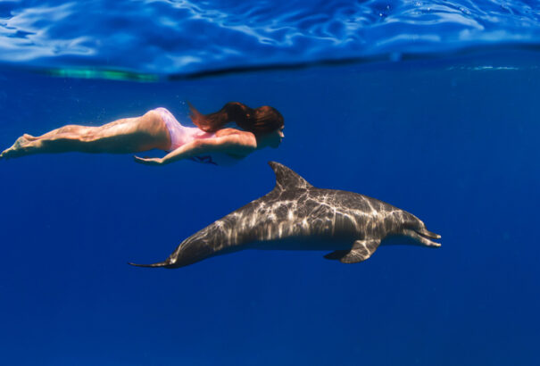 A hajózaj csökkenti a delfinek „szókincsét”