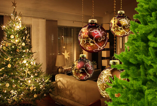 Felmérés: míg a szlovákok műfenyőt vásárolnak, addig a csehek az élő fenyőre esküsznek