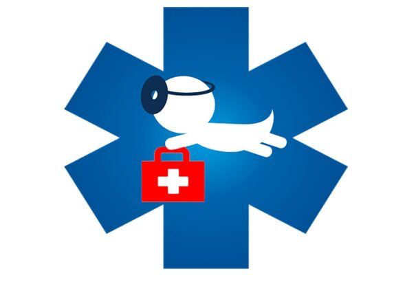 Ambuláns készültség és orvosi ügyelet szilveszterkor és újév napján Pozsony megyében