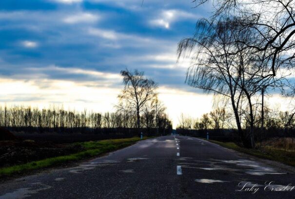 A természet ünnepi ajándéka – Képriport