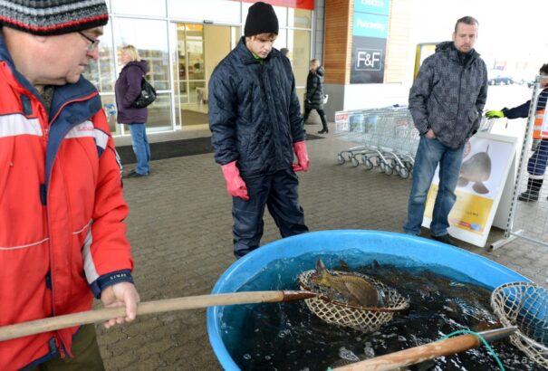 Karácsony előtt lassan eltűnik az élő hal a boltokból