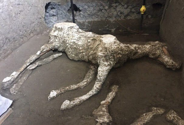 Egy felszerszámozott katonai ló megkövült maradványa került elő Pompejiben