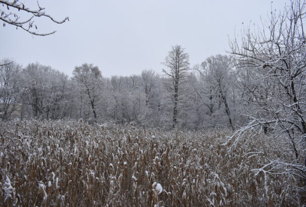 Nyugaton felszakadozik a felhőzet, keleten még várható havazás