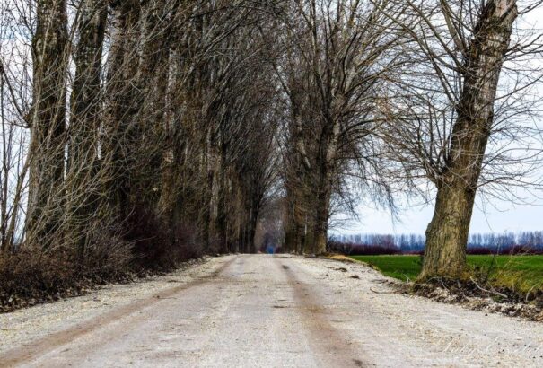 Borult idő lesz szerdán, esővel, havazással