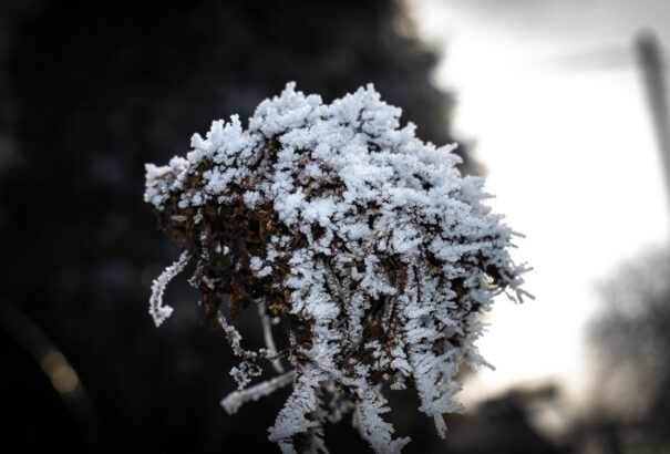 Csúszós utak, havazás és erős szél miatt is riasztást adott ki az SHMÚ
