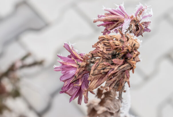 Többnyire napos, de hűvös időnk lesz pénteken