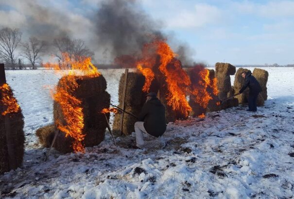 Kit segít az Agrárkamara a Felvidéken?
