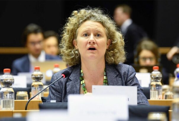 Sargentini: fizetett trollokat küld rám a magyar kormány