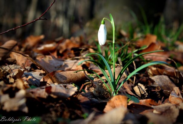 Derült, napos idő várható csütörtökön