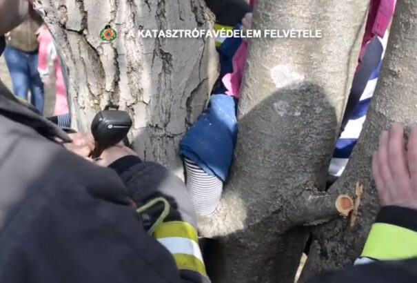 Fatörzsbe szorult kislányt mentettek ki a budapesti tűzoltók (videó)