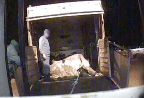 Lengyel húsbotrány – Íme, a videó, mely lerántotta a leplet az esetről