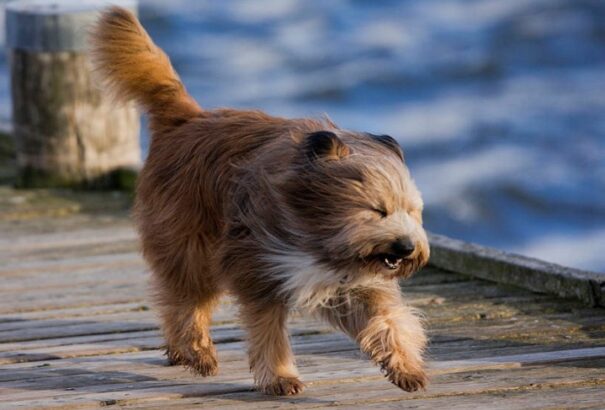 21 fok és viharos szél is lehet csütörtökön