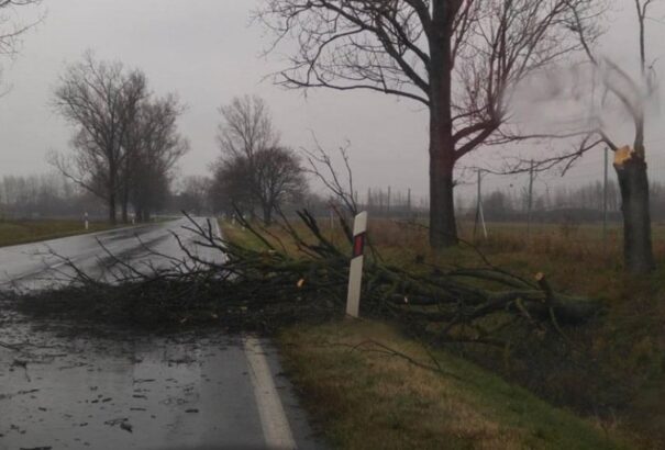 Több magyarlakta járásra is másodfokú riasztást adtak ki az erős szél miatt
