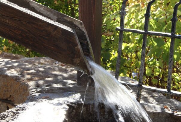 A holland kormány vízhiányt jelentett be a tartós szárazság miatt