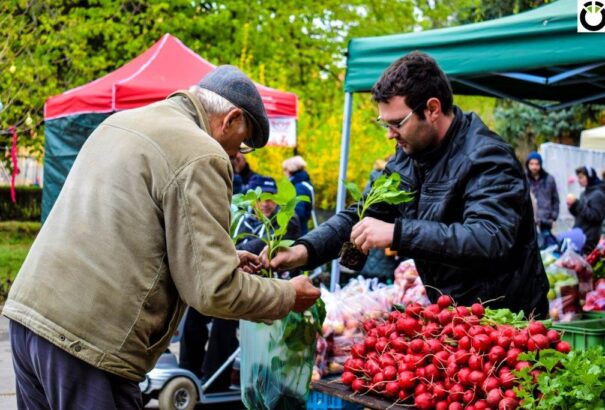 Varázslatos Termelői Piac Tallóson – Képriport