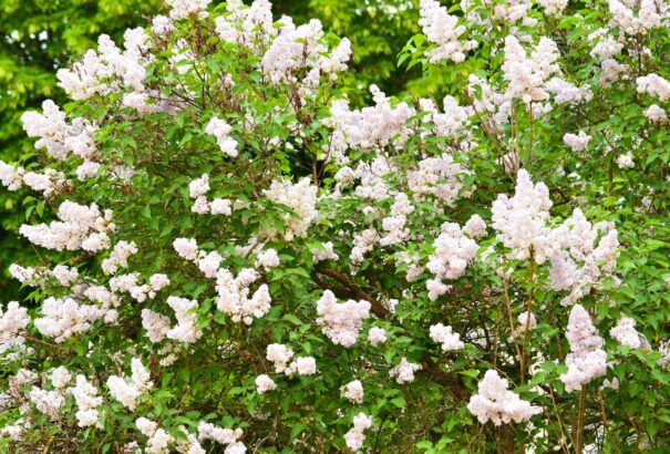 Jön az év eddigi legmelegebb napja, ma akár 29 fok is lehet