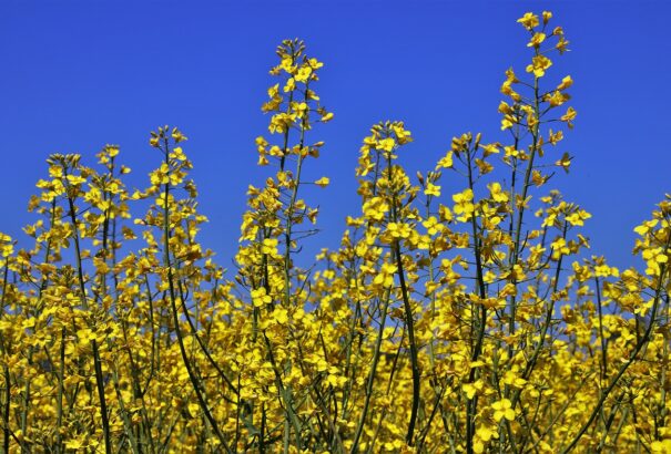 Napos, de szeles idő lesz szerdán