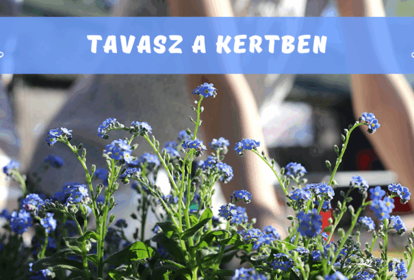 Tavaszi teendők a kertben – mit tegyünk és hogyan?