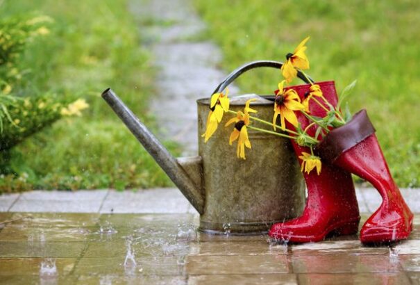 Esős szombatunk lesz