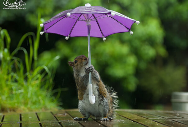 Esős, szeles, kellemetlen idő lesz