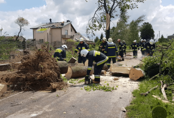 Tornádó tombolt Lengyelországban. Hatalmas károk keletkeztek (videó, fotók)